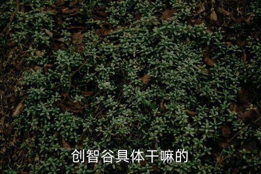 創智谷具體干嘛的