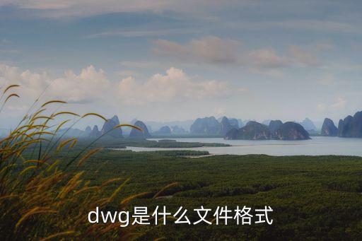 dwg是什么文件，DWG是什么格式的文件啊