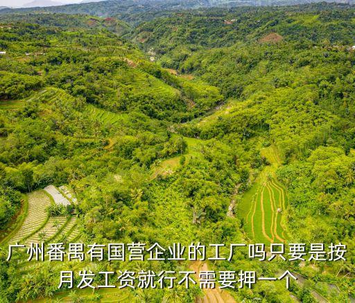 廣州番禺區屬國企資產，廣州番禺有國營企業的工廠嗎只要是按月發工資就行不需要押一個
