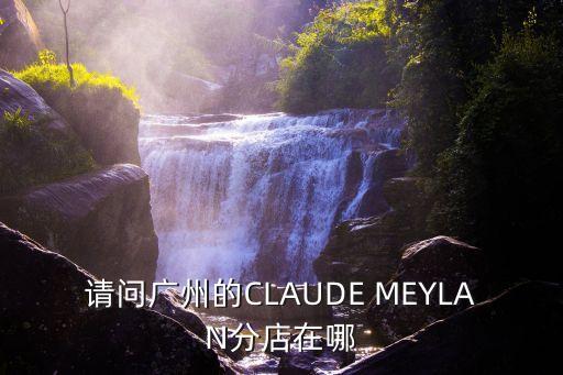 廣州華來士總店，華萊士弗蘭德在廣州哪些地方有分店
