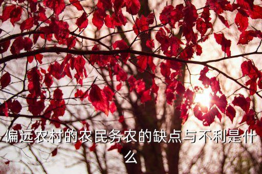 偏遠農村的農民務農的缺點與不利是什么