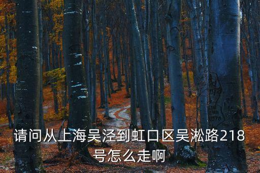 上海市淞北路218號，上海吳淞路218號做什么地鐵能到