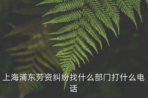 上海浦東勞資糾紛找什么部門打什么電話