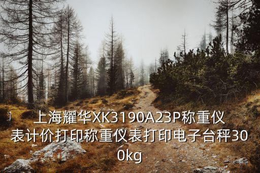 上海市耀華衡器，上海耀華XK3190A23P稱重儀表計價打印稱重儀表打印電子臺秤300kg