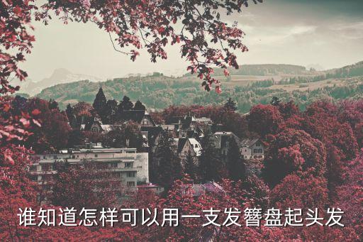 誰(shuí)知道怎樣可以用一支發(fā)簪盤(pán)起頭發(fā)