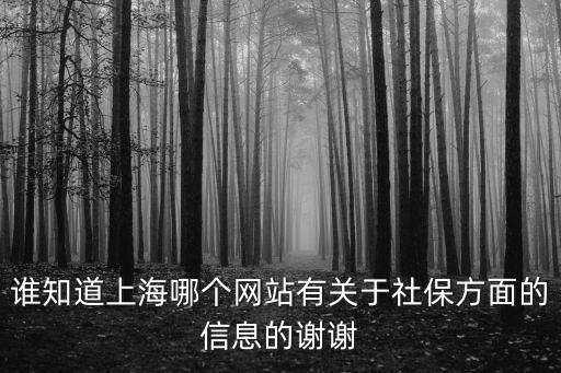 誰知道上海哪個網(wǎng)站有關于社保方面的信息的謝謝