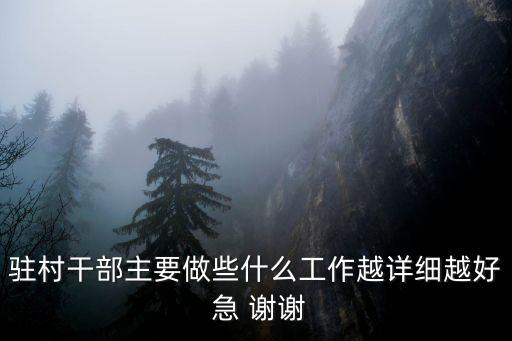駐村工作隊(duì)職責(zé)，駐村干部主要做些什么工作越詳細(xì)越好 急 謝謝