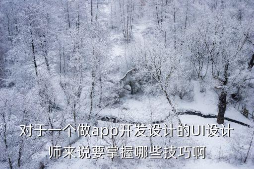 appui設計，對于一個做app開發設計的UI設計師來說要掌握哪些技巧啊
