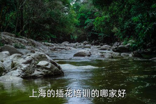 上海市插花華藝進修學校，純當興趣的 上海哪里有學插花的地方
