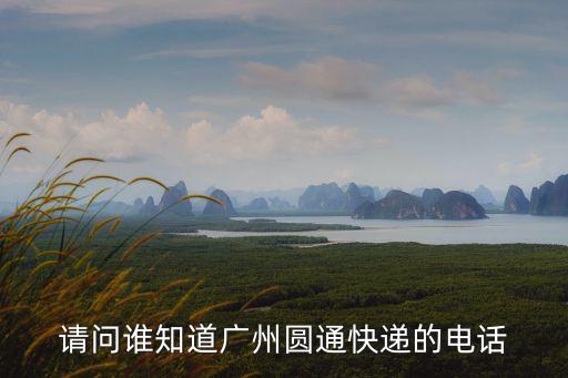 廣州市圓通龍溪公司，請問誰知道廣州圓通快遞的電話