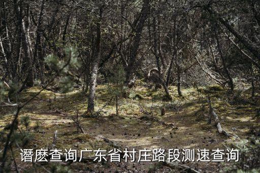 譖麼查詢廣東省村莊路段測速查詢