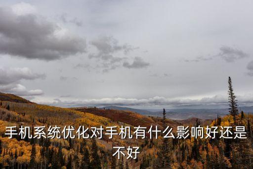 手機優化，手機內存優化是什么
