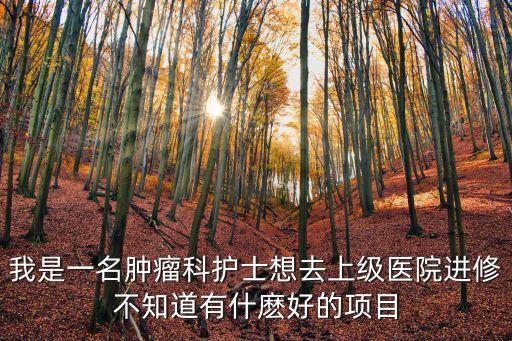 我是一名腫瘤科護士想去上級醫院進修不知道有什麼好的項目
