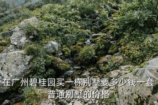 廣州碧桂園中新首府房價，廣州華南碧桂園房價