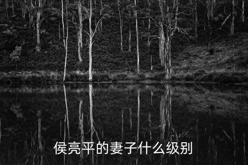 上海市反貪局長丁谷平，3215的原反補碼