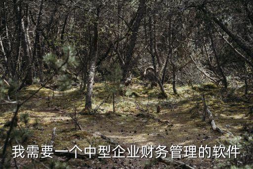 我需要一個(gè)中型企業(yè)財(cái)務(wù)管理的軟件