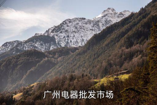 廣州市豐寧電器龍津東路，請問各位廣州電器批發市場在什么地方