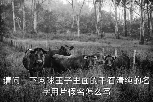千石清純，千石清純有多厲害