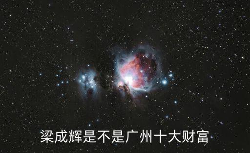 廣州前十名富豪，廣州首富是誰前十大富豪又分別是誰最好還能簡單的接介紹下他們