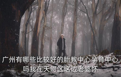 廣州有哪些比較好的胎教中心孕育中心嗎我在天河區這邊老婆懷