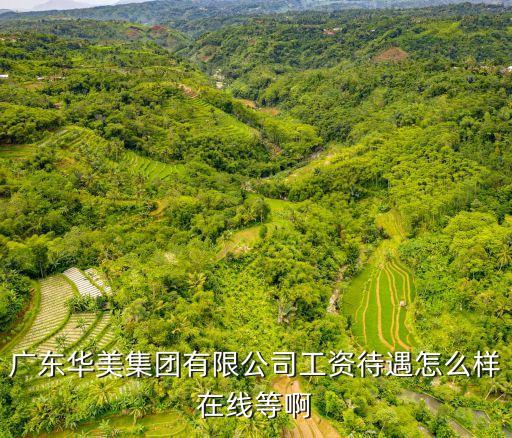 廣東華美集團有限公司工資待遇怎么樣在線等啊
