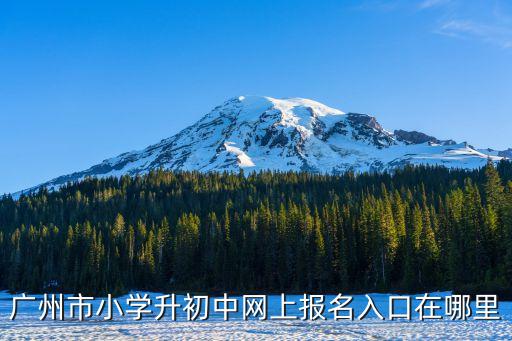 廣州市小學(xué)升初中網(wǎng)上報名入口在哪里