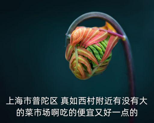 上海市普陀區 真如西村附近有沒有大的菜市場啊吃的便宜又好一點的