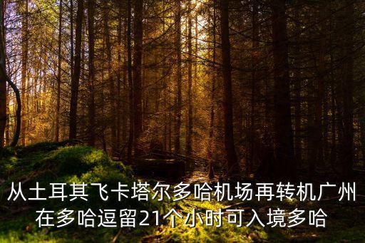 從多哈回廣州轉機回國，多哈轉機55分鐘時間夠嗎 回國
