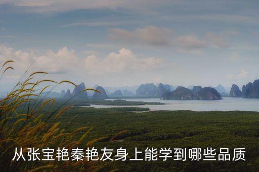 秦艷友，根據張寶艷秦艷友的事跡自擬一副對聯