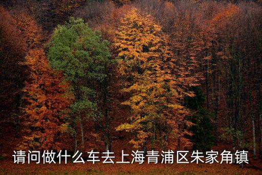 請(qǐng)問(wèn)做什么車去上海青浦區(qū)朱家角鎮(zhèn)