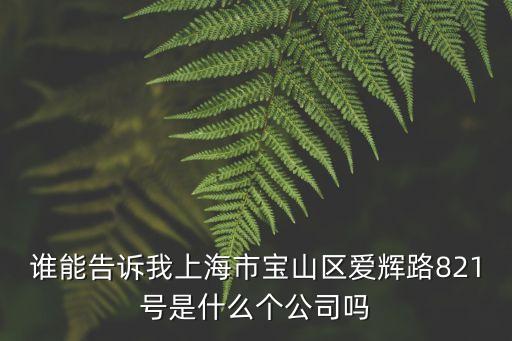 誰能告訴我上海市寶山區愛輝路821號是什么個公司嗎