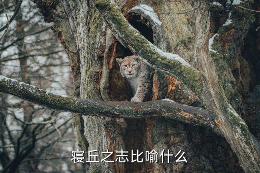 寢丘之志，和孫叔敖有關的成語