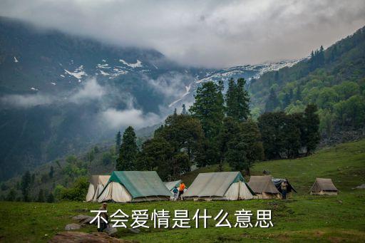 不懂愛情，不懂愛情怎么辦