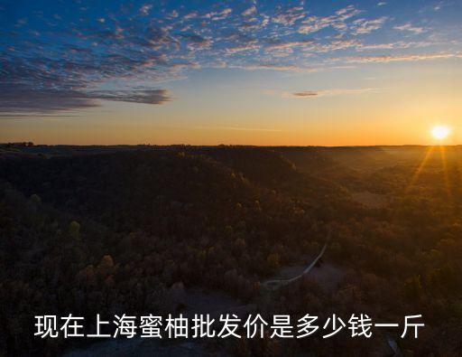 現(xiàn)在上海蜜柚批發(fā)價(jià)是多少錢一斤