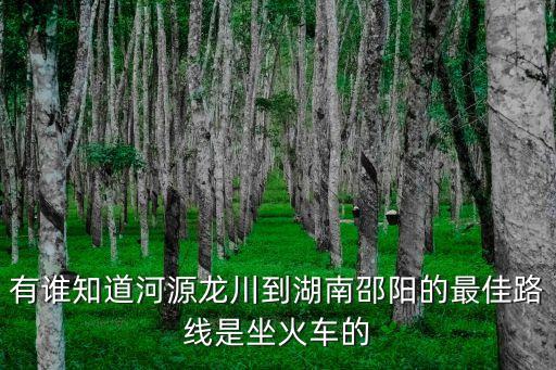 有誰知道河源龍川到湖南邵陽的最佳路線是坐火車的