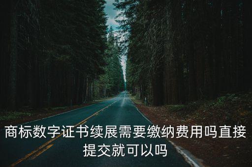 上海市數字證書到期要多少費用，電子口岸IC卡數字證書需付哪些費用