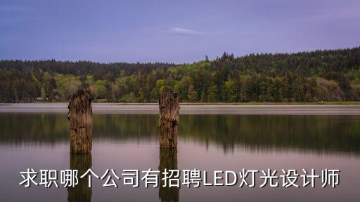 廣州協源電子科技有限，求職哪個公司有招聘LED燈光設計師