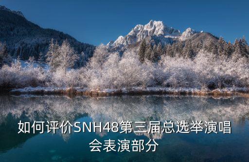 如何評價SNH48第三屆總選舉演唱會表演部分