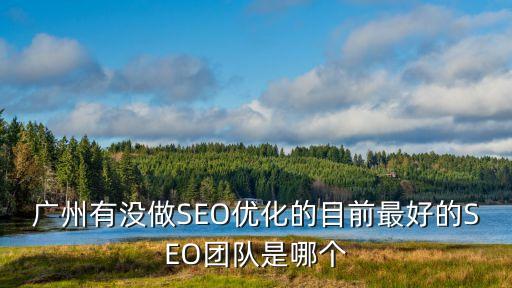 廣州市seo推廣哪家專業(yè)，廣州哪家的網(wǎng)站優(yōu)化服務比較好