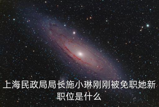 上海民政局局長施小琳剛剛被免職她新職位是什么