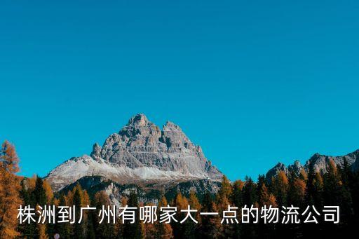 株洲到廣州有哪家大一點的物流公司