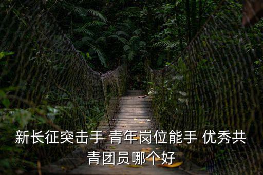 第一上海市新長征突擊手，新長征突擊手 青年崗位能手 優(yōu)秀共青團員哪個好