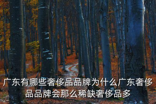 廣東有哪些奢侈品品牌為什么廣東奢侈品品牌會那么稀缺奢侈品多