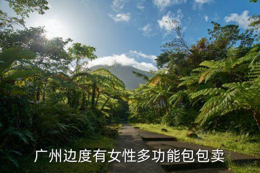廣州賣包的妹子，廣州邊度有女性多功能包包賣