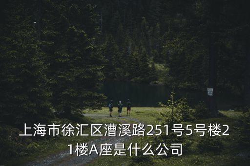上海市徐匯區漕溪路251號5號樓21樓A座是什么公司