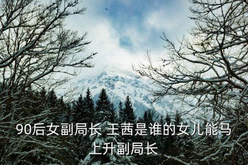 上海市民政局女副局長，上海民政局局長施小琳剛剛被免職她新職位是什么