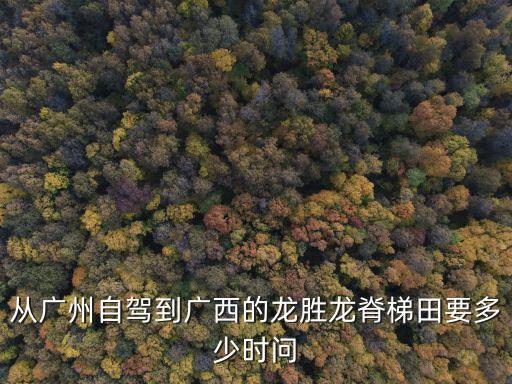 自駕車廣州到龍脊梯田幾小時，求廣州至廣西龍脊梯田的自由行線路