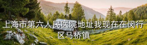 上海市 第六人民醫院傳染科，上海市第六人民醫院