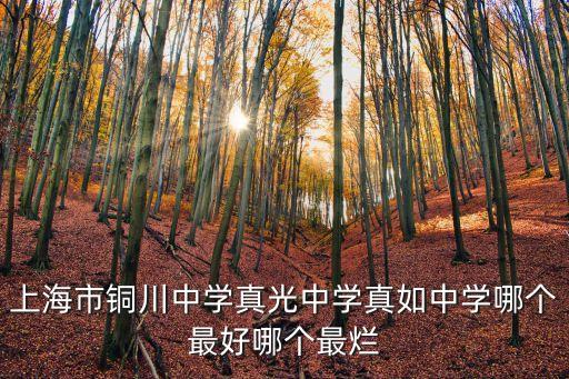 上海市銅川學校法人代表，上海市銅川學校的網站