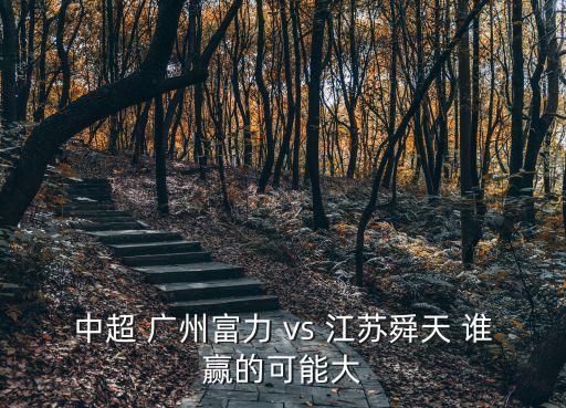廣州富力vs江蘇蘇寧球員打分，中超 廣州富力 vs 江蘇舜天 誰贏的可能大